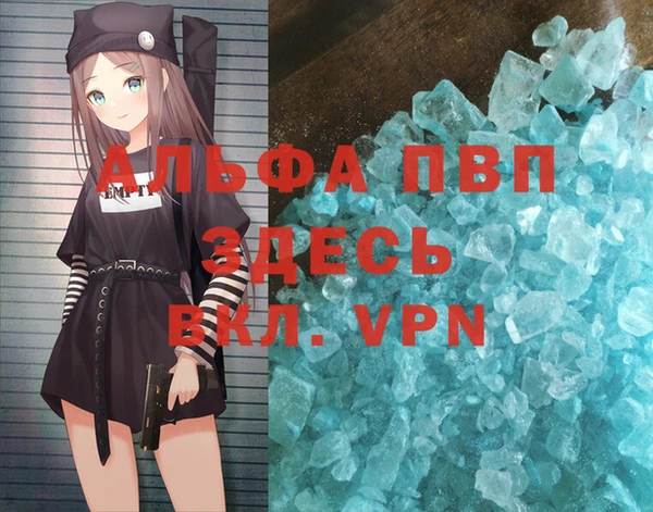 шишки Беломорск