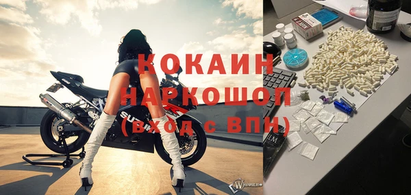 шишки Беломорск