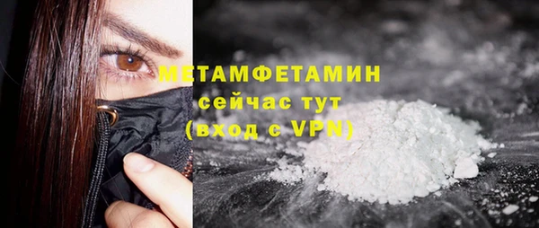 шишки Беломорск