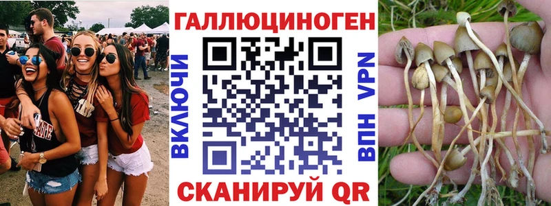 Псилоцибиновые грибы GOLDEN TEACHER  Астрахань 